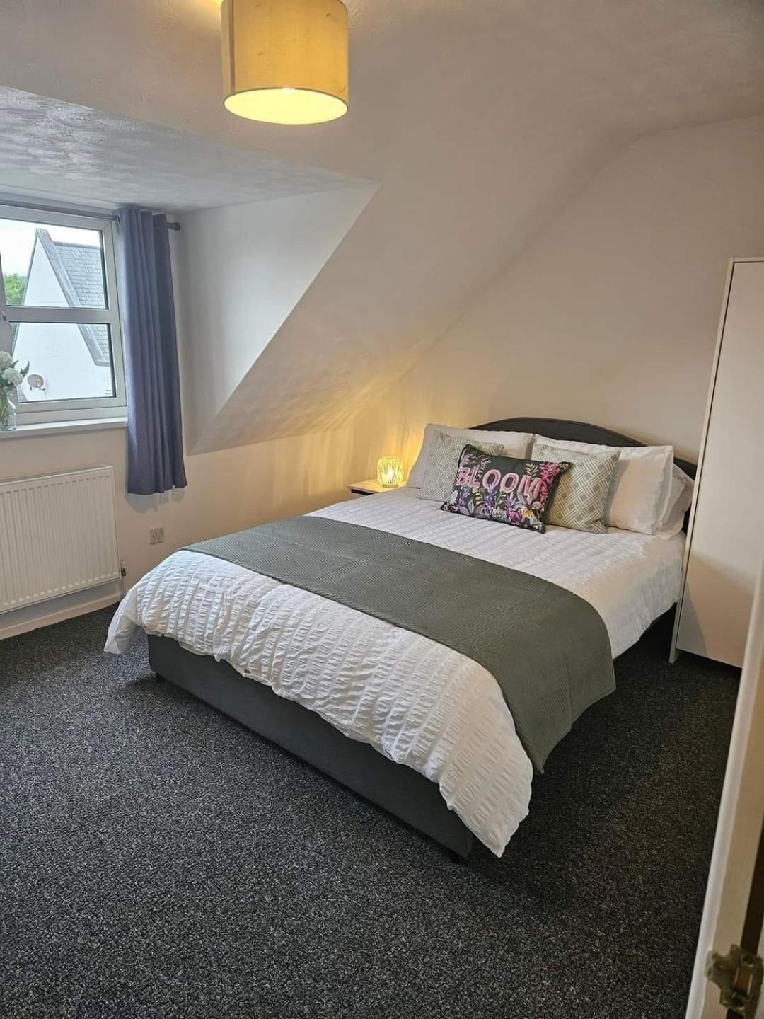 Cosy At The Castle Apartment Carrickfergus